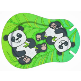 Pandas & bamboo